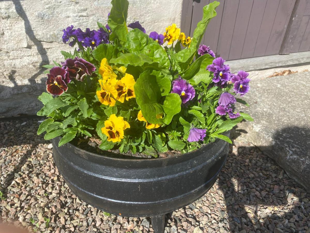 Stenbrottets Smedja Falköping Exteriér fotografie
